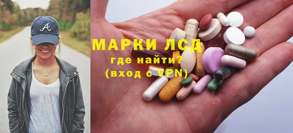 прущие грибы Бронницы